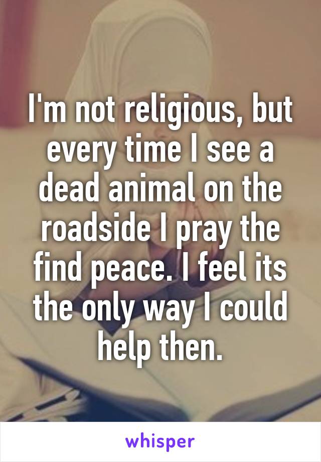 I'm not religious, but every time I see a dead animal on the roadside I pray the find peace. I feel its the only way I could help then.