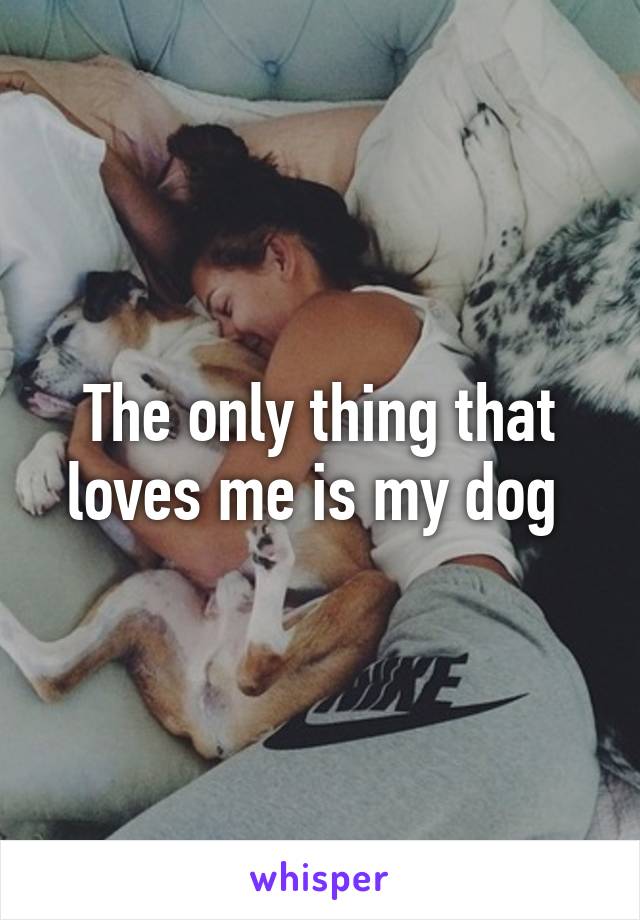 The only thing that loves me is my dog 