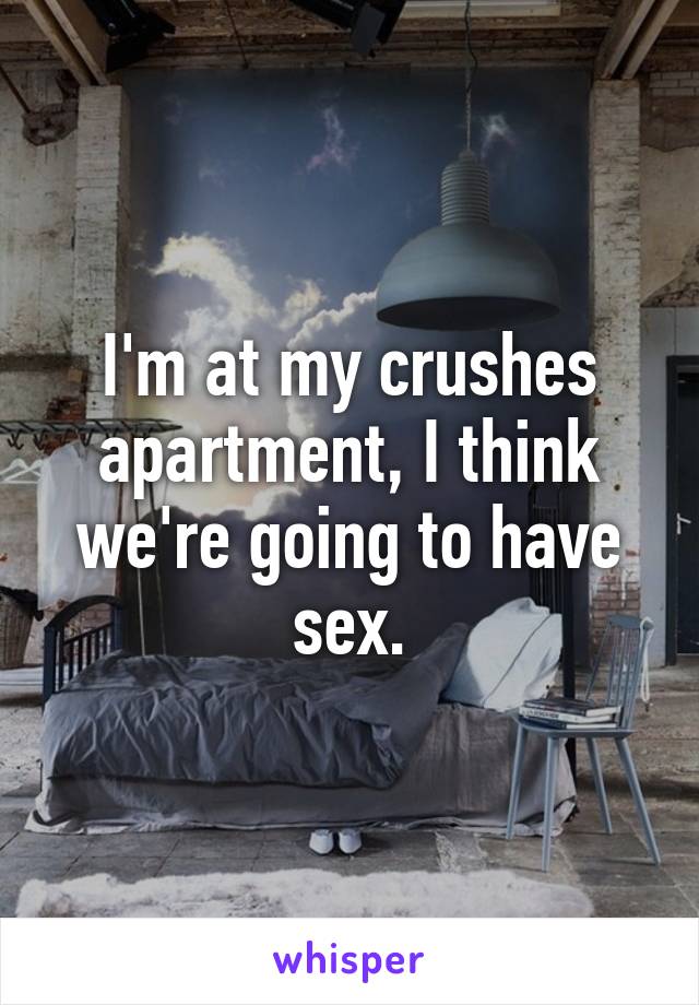 I'm at my crushes apartment, I think we're going to have sex.