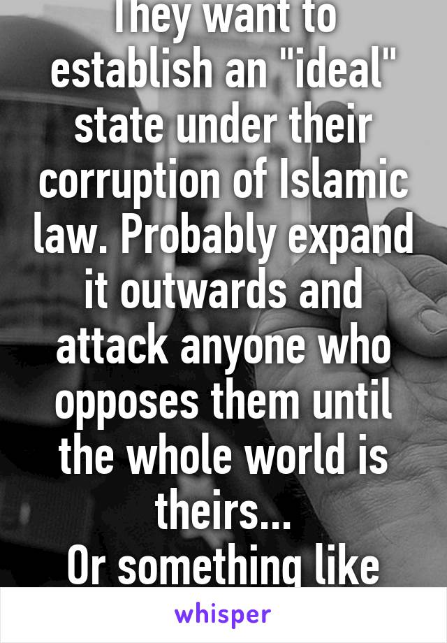 They want to establish an "ideal" state under their corruption of Islamic law. Probably expand it outwards and attack anyone who opposes them until the whole world is theirs...
Or something like that.