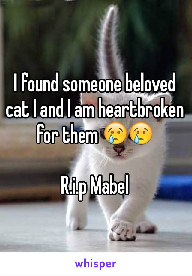 I found someone beloved cat I and I am heartbroken for them 😢😢

R.i.p Mabel 