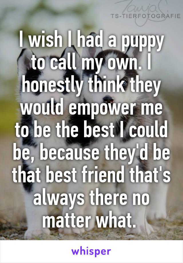 I wish I had a puppy to call my own. I honestly think they would empower me to be the best I could be, because they'd be that best friend that's always there no matter what. 