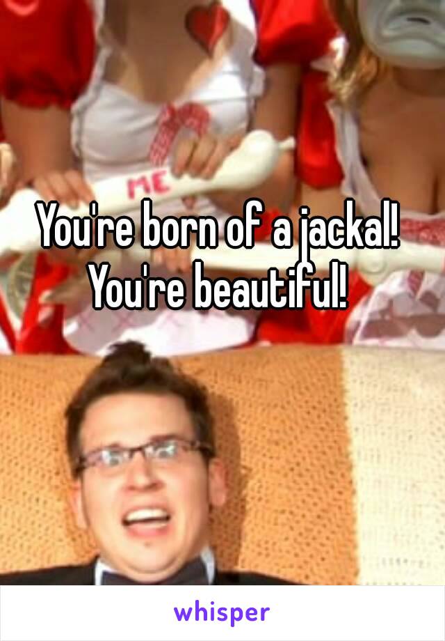 You're born of a jackal!
You're beautiful!