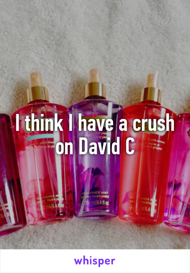 I think I have a crush on David C