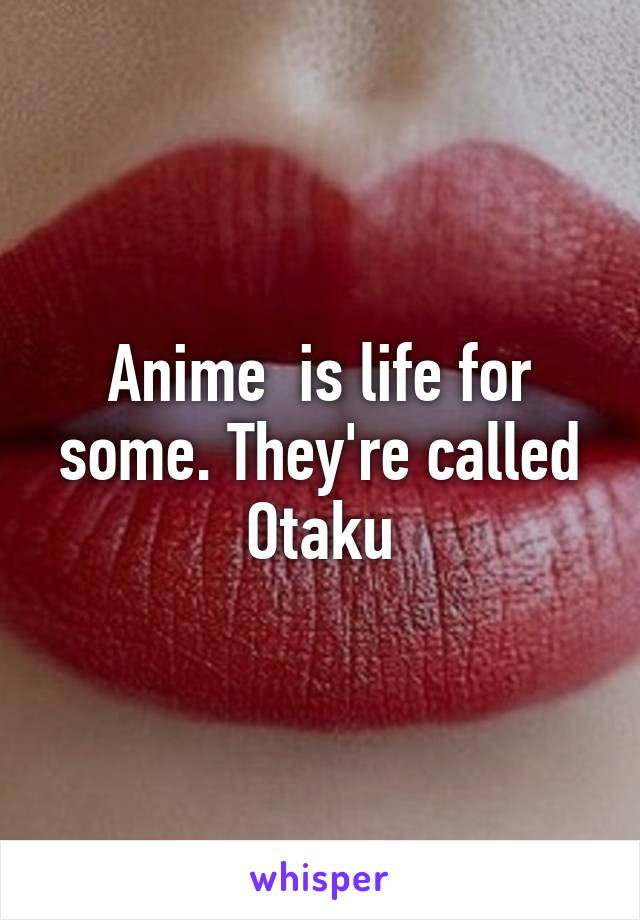 Anime  is life for some. They're called Otaku