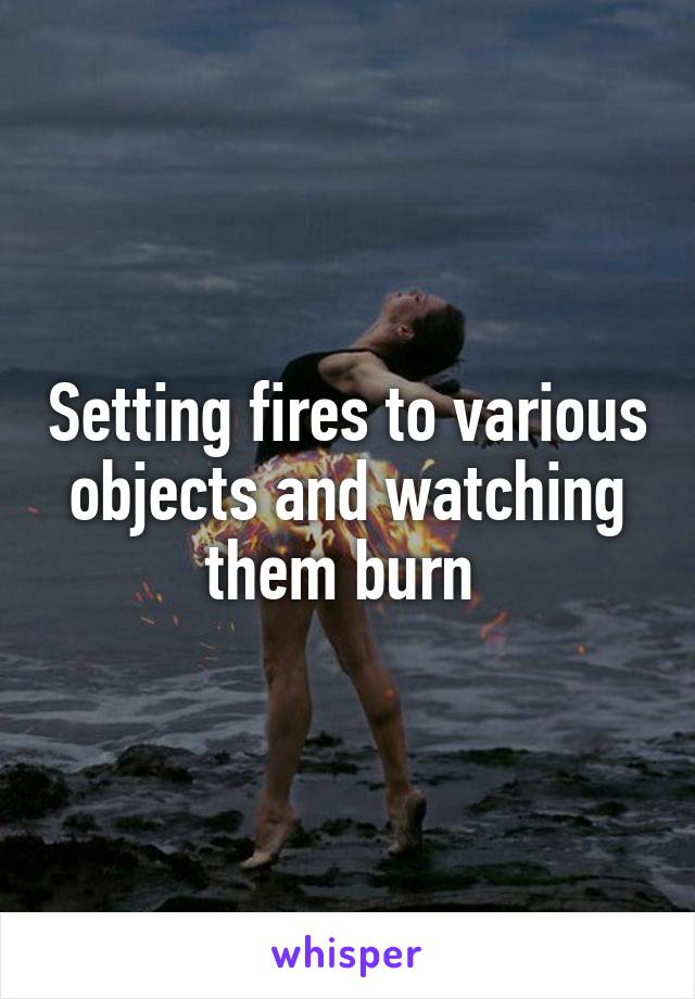 Setting fires to various objects and watching them burn 