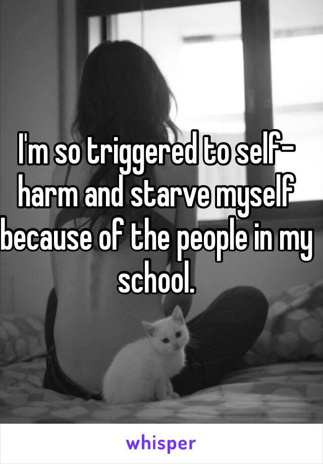 I'm so triggered to self-harm and starve myself because of the people in my school.