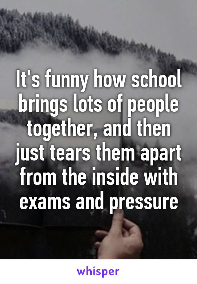 It's funny how school brings lots of people together, and then just tears them apart from the inside with exams and pressure