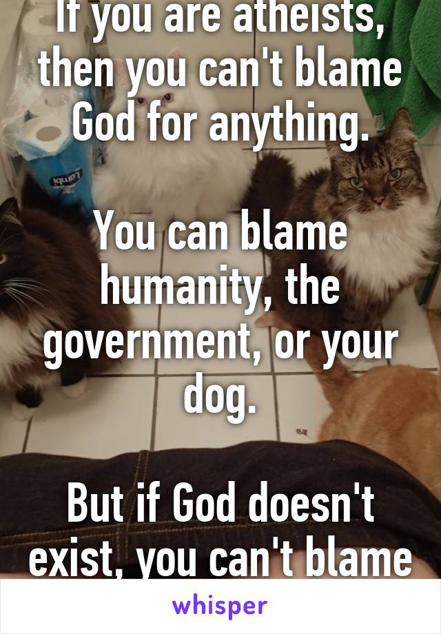 If you are atheists, then you can't blame God for anything.
 
You can blame humanity, the government, or your dog.

But if God doesn't exist, you can't blame him.