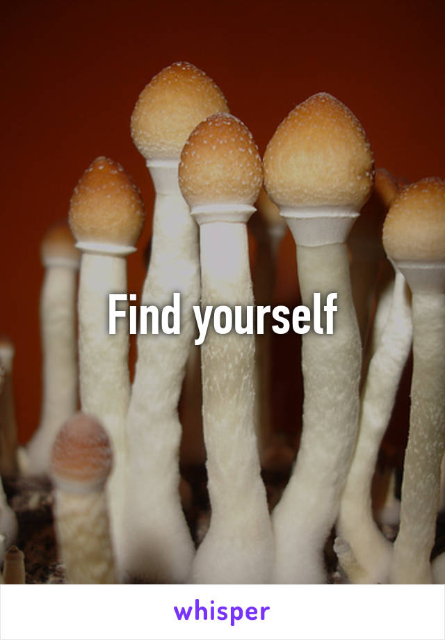 Find yourself