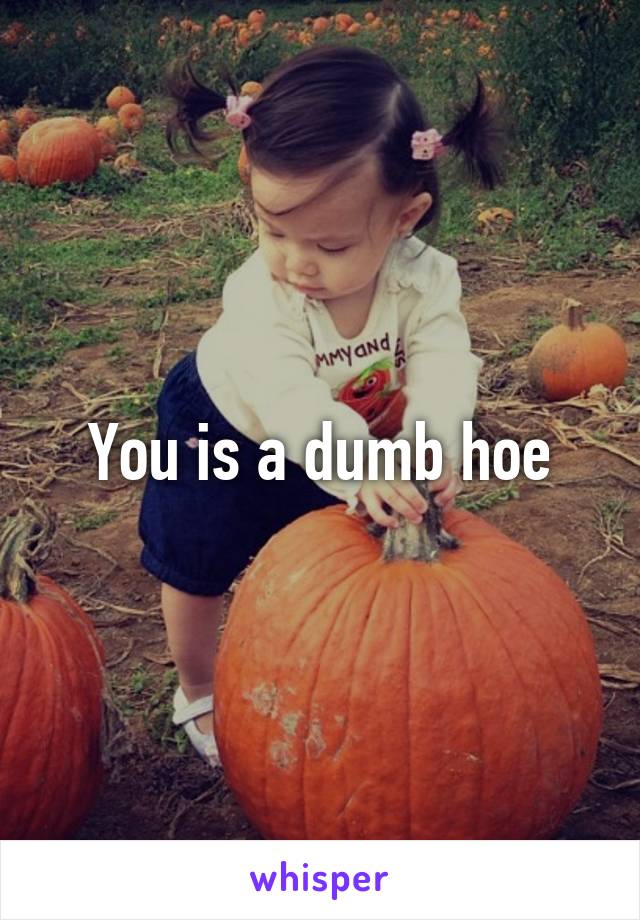 You is a dumb hoe