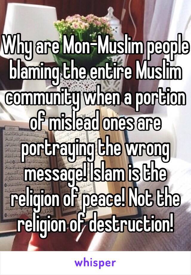 Why are Mon-Muslim people blaming the entire Muslim community when a portion of mislead ones are portraying the wrong message! Islam is the religion of peace! Not the religion of destruction!