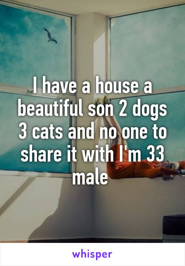 I have a house a beautiful son 2 dogs 3 cats and no one to share it with I'm 33 male 