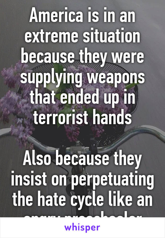 America is in an extreme situation because they were supplying weapons that ended up in terrorist hands

Also because they insist on perpetuating the hate cycle like an angry preschooler