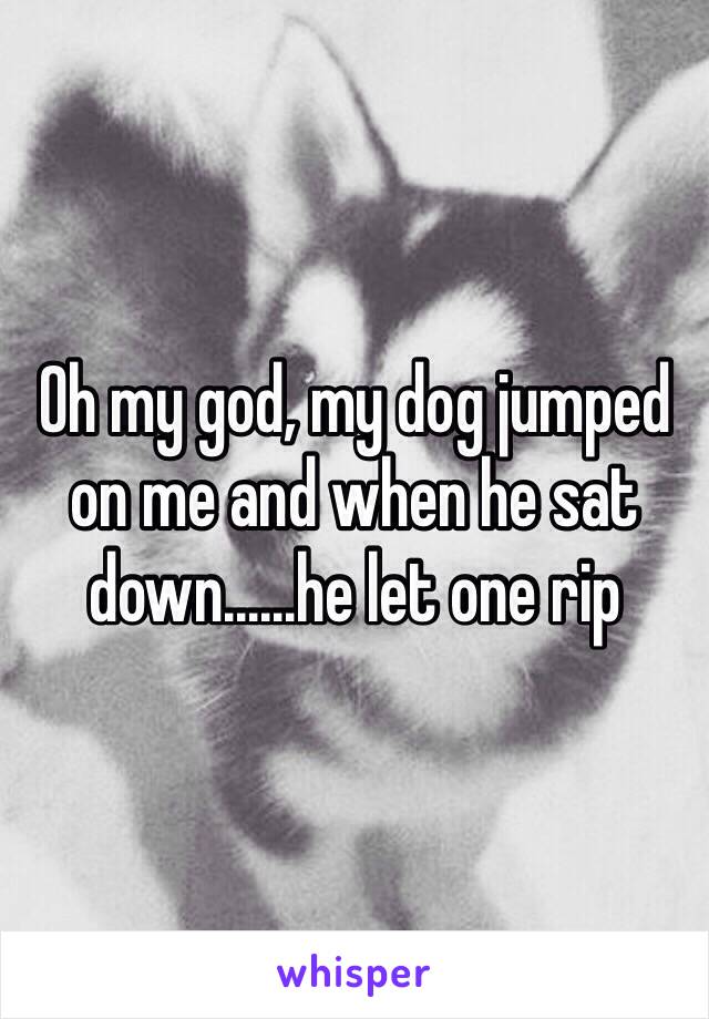 Oh my god, my dog jumped on me and when he sat down……he let one rip