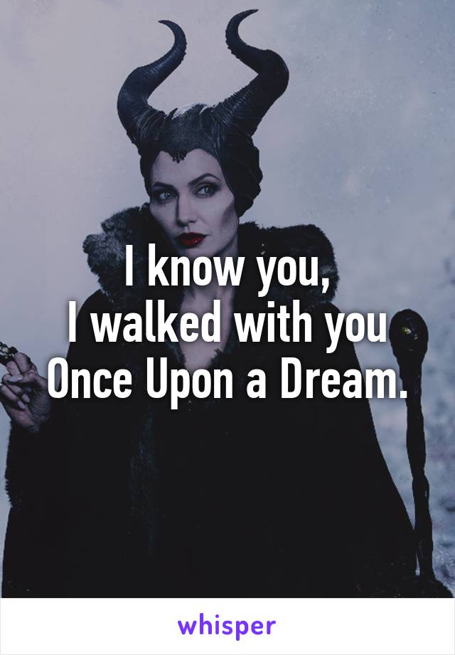 I know you,
I walked with you Once Upon a Dream.