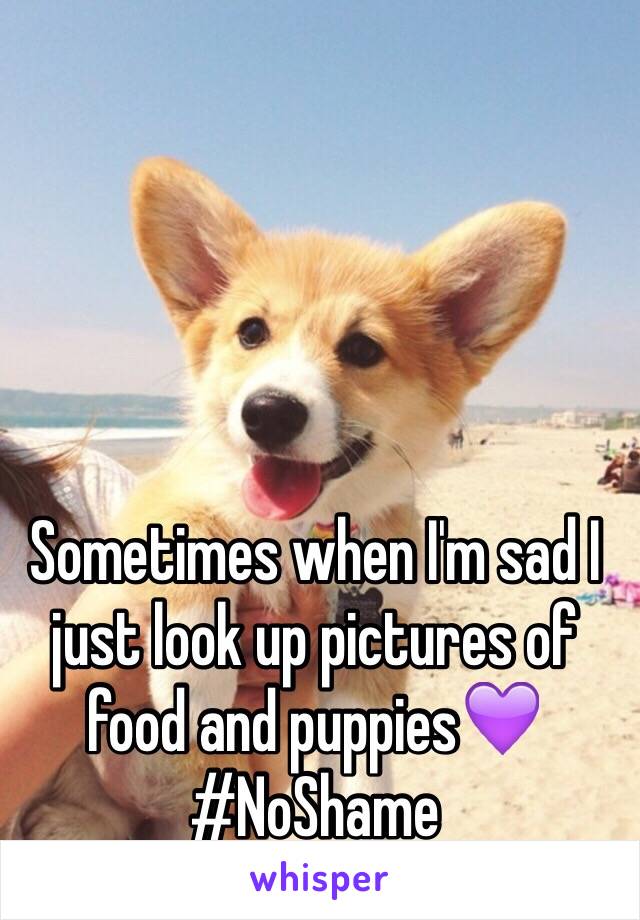 Sometimes when I'm sad I just look up pictures of food and puppies💜 #NoShame