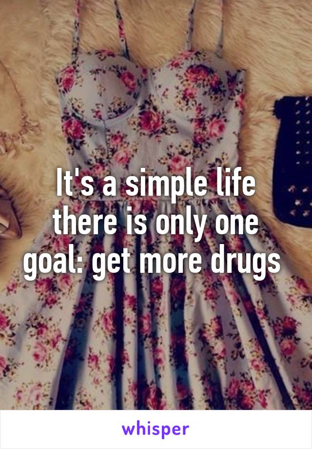 It's a simple life there is only one goal: get more drugs 