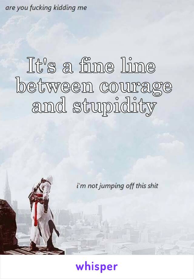 It's a fine line between courage and stupidity