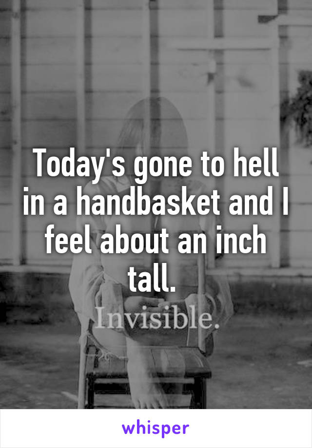 Today's gone to hell in a handbasket and I feel about an inch tall. 