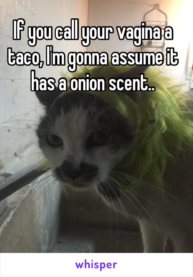 If you call your vagina a taco, I'm gonna assume it has a onion scent..