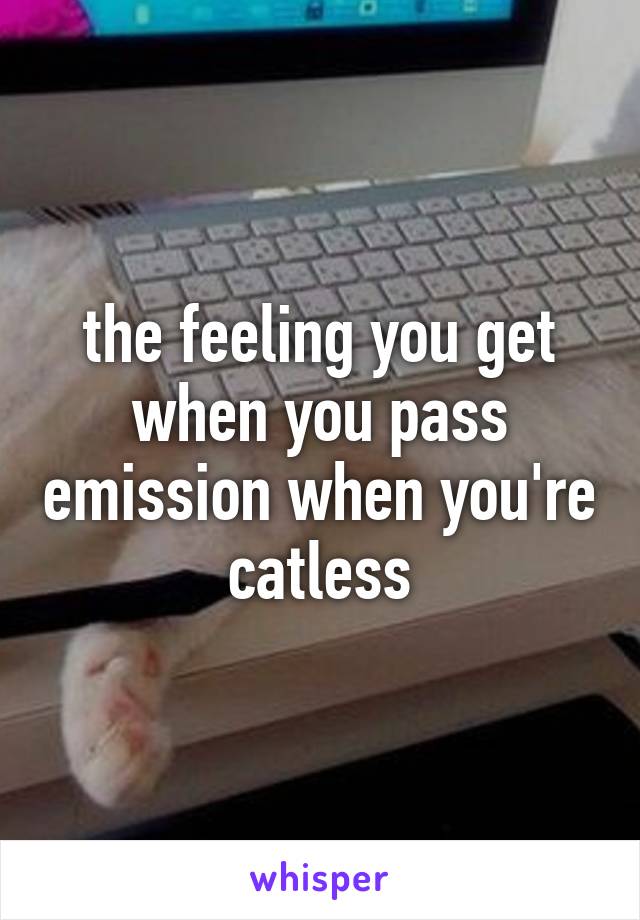 the feeling you get when you pass emission when you're catless