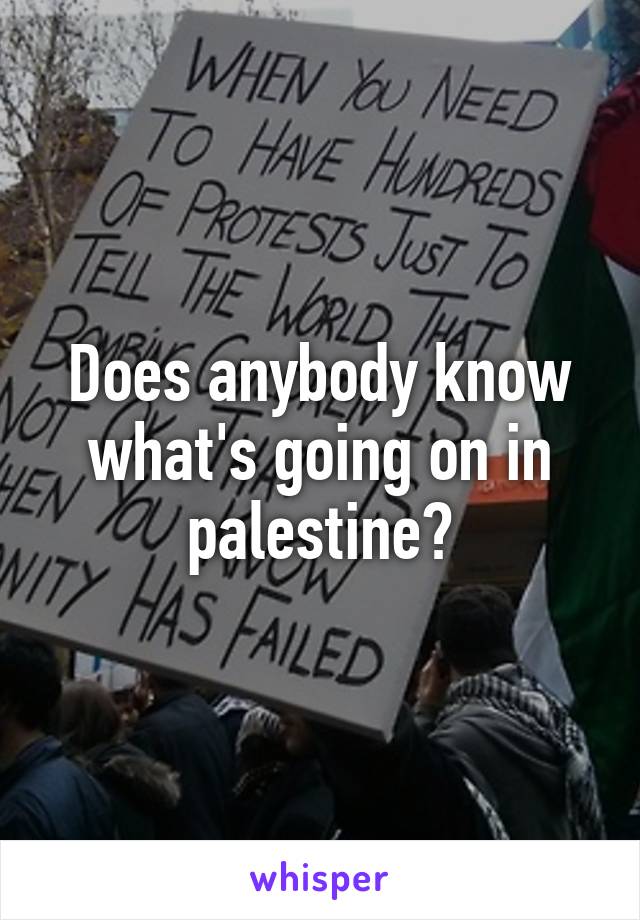 Does anybody know what's going on in palestine?