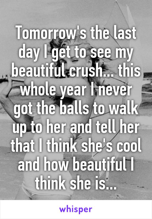 Tomorrow's the last day I get to see my beautiful crush... this whole year I never got the balls to walk up to her and tell her that I think she's cool and how beautiful I think she is...