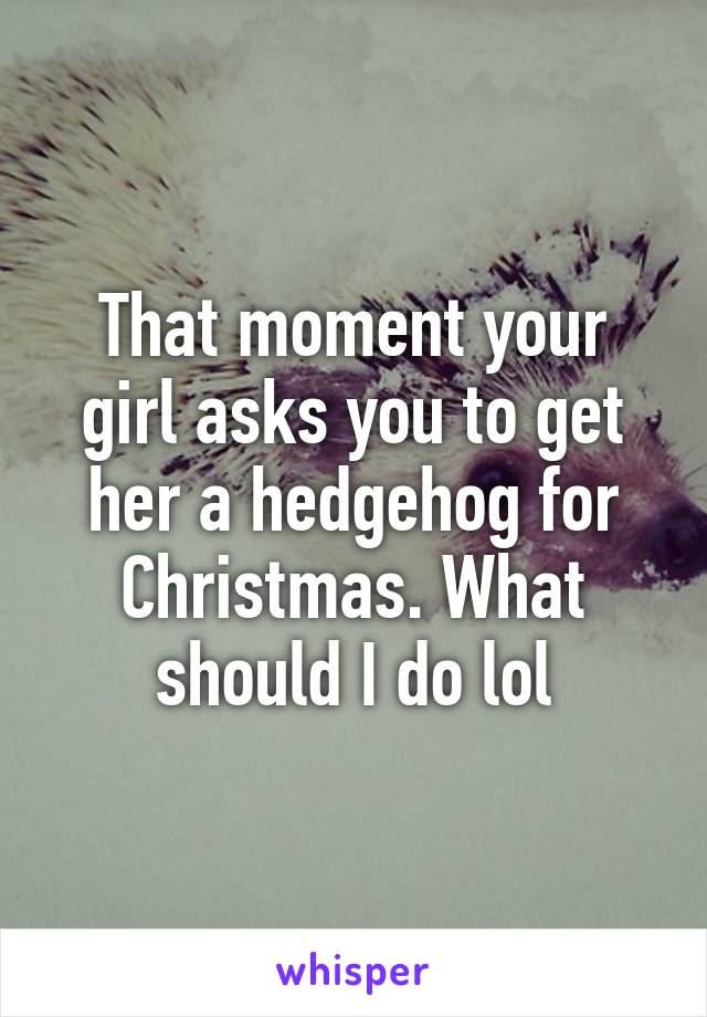 That moment your girl asks you to get her a hedgehog for Christmas. What should I do lol