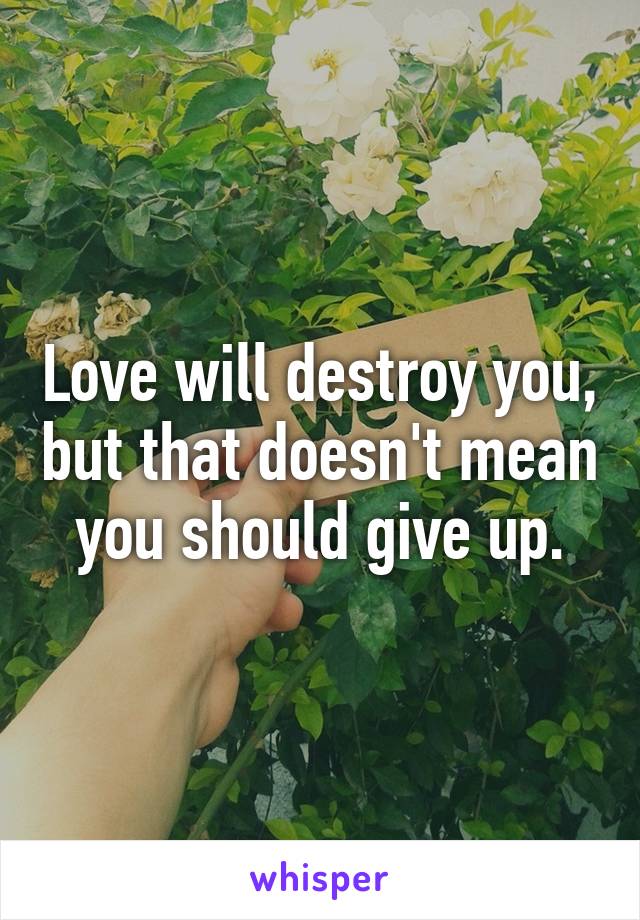 Love will destroy you, but that doesn't mean you should give up.