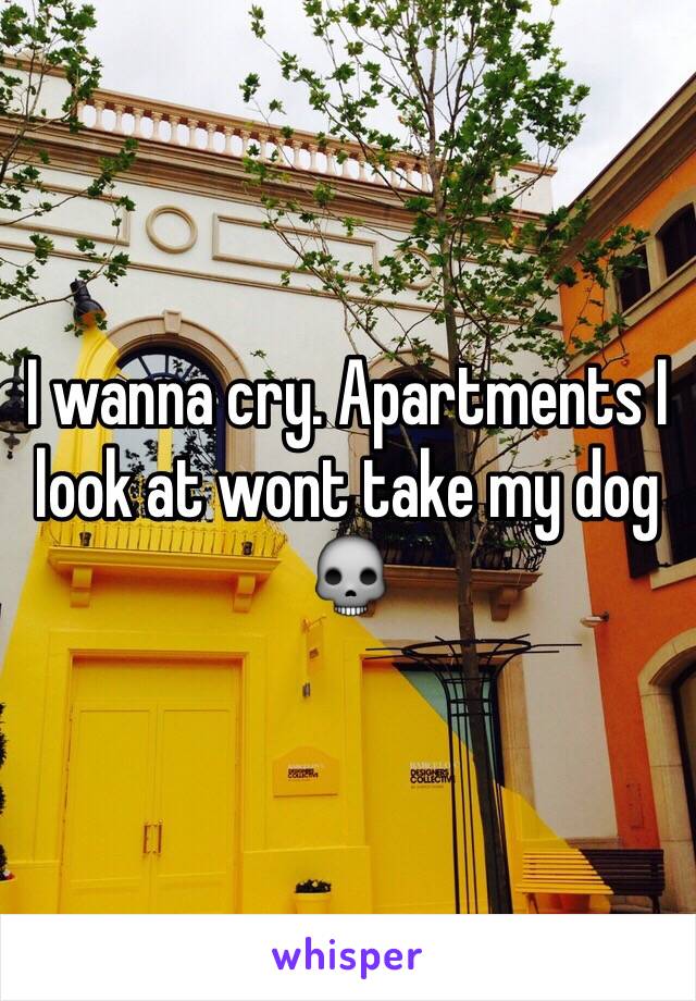 I wanna cry. Apartments I look at wont take my dog 💀