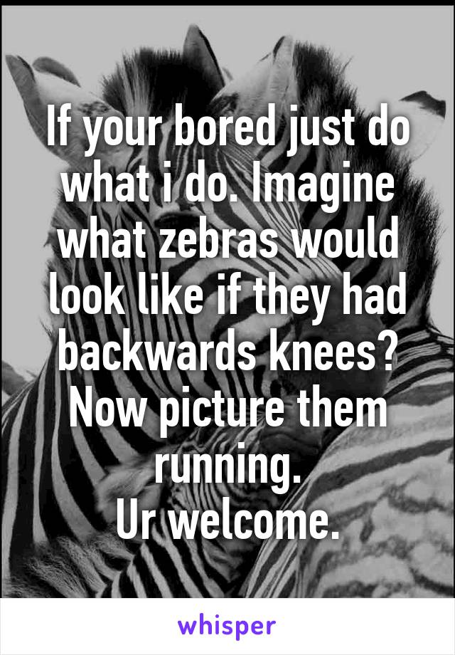 If your bored just do what i do. Imagine what zebras would look like if they had backwards knees?
Now picture them running.
Ur welcome.