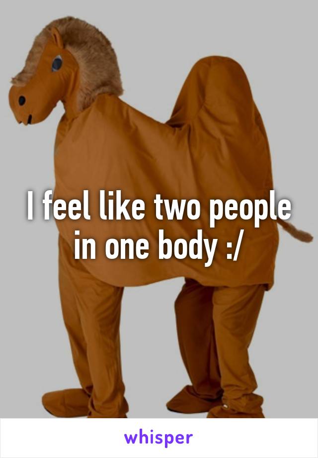 I feel like two people in one body :/