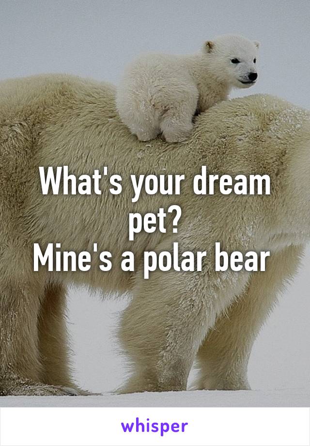 What's your dream pet?
Mine's a polar bear 