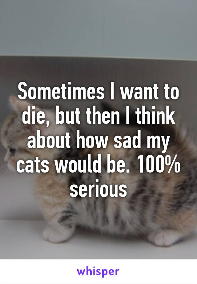 Sometimes I want to die, but then I think about how sad my cats would be. 100% serious