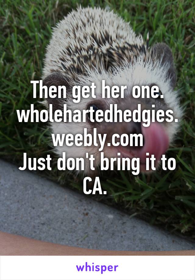 Then get her one. wholehartedhedgies.weebly.com
Just don't bring it to CA. 