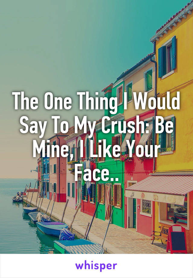 The One Thing I Would Say To My Crush: Be Mine, I Like Your Face..