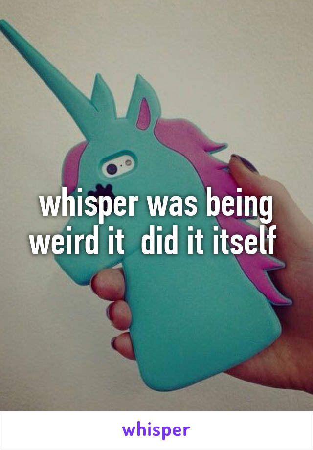 whisper was being weird it  did it itself 