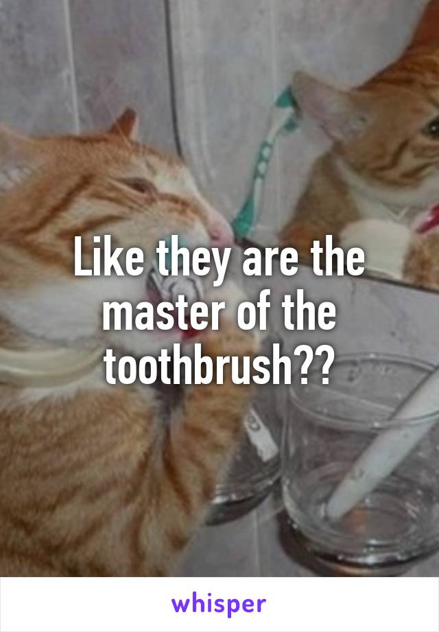 Like they are the master of the toothbrush??