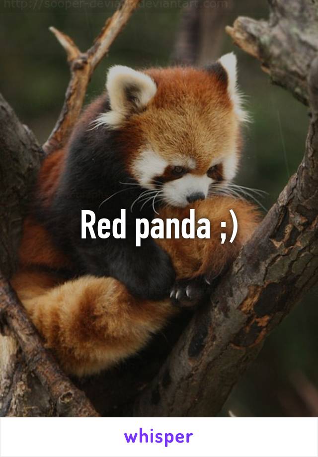 Red panda ;)