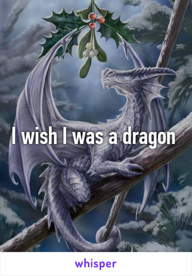 I wish I was a dragon 