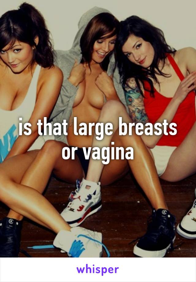 is that large breasts or vagina