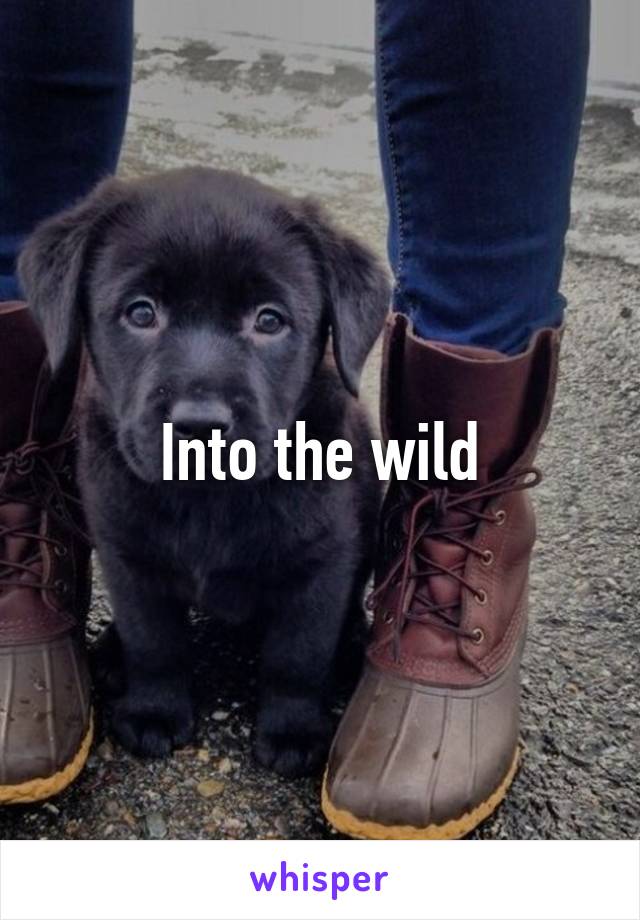 Into the wild