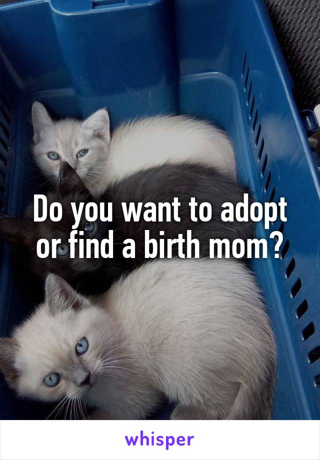 Do you want to adopt or find a birth mom?