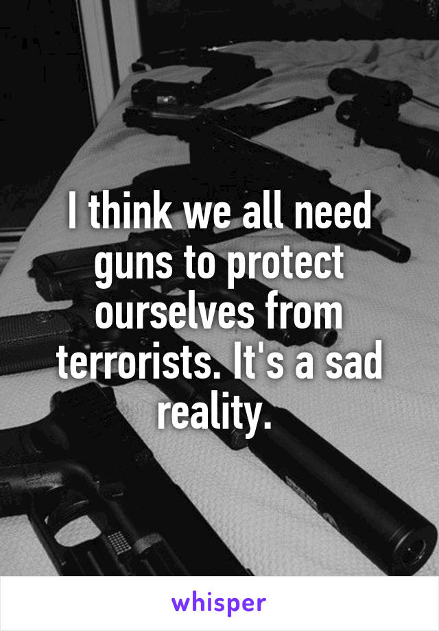 I think we all need guns to protect ourselves from terrorists. It's a sad reality. 