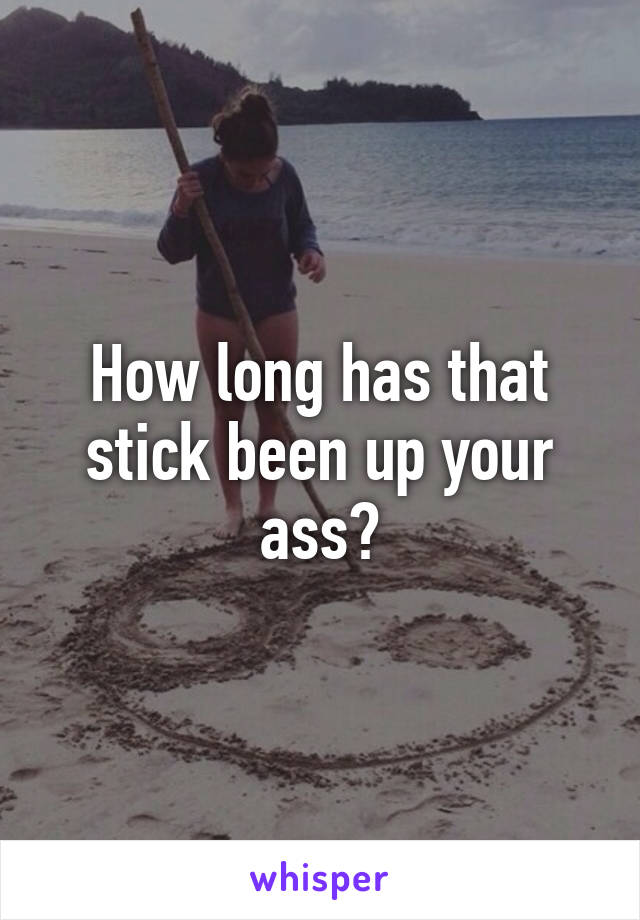 How long has that stick been up your ass?