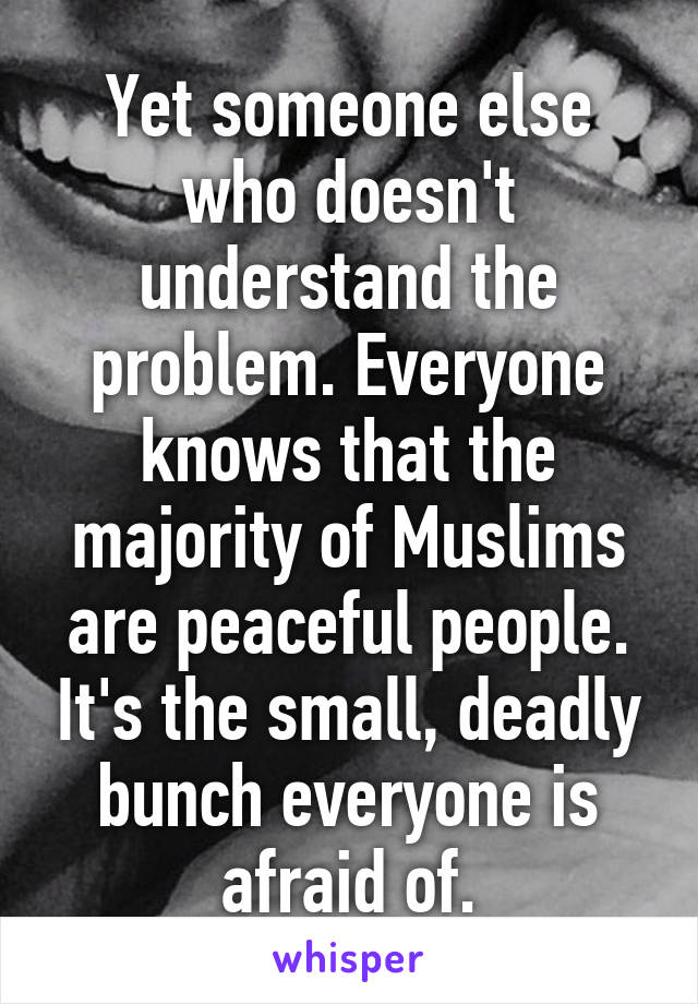 Yet someone else who doesn't understand the problem. Everyone knows that the majority of Muslims are peaceful people. It's the small, deadly bunch everyone is afraid of.