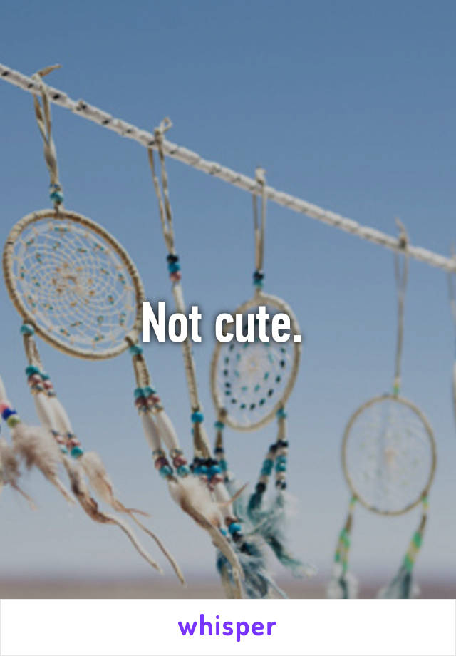 Not cute. 