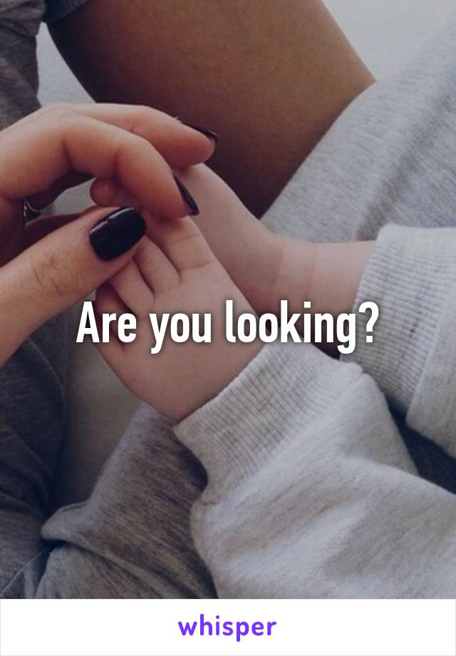 Are you looking?