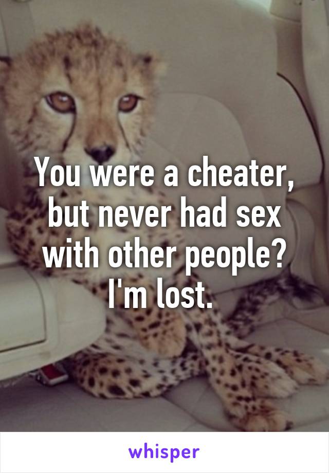 You were a cheater, but never had sex with other people? I'm lost. 